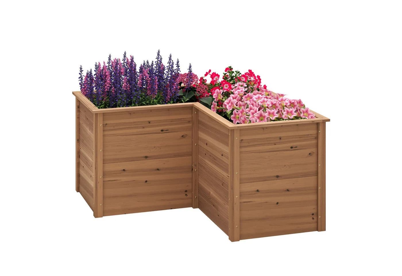 COSTWAY L-förmiges Hochbeet Tannenholz 120x120x63cm - Bild 2