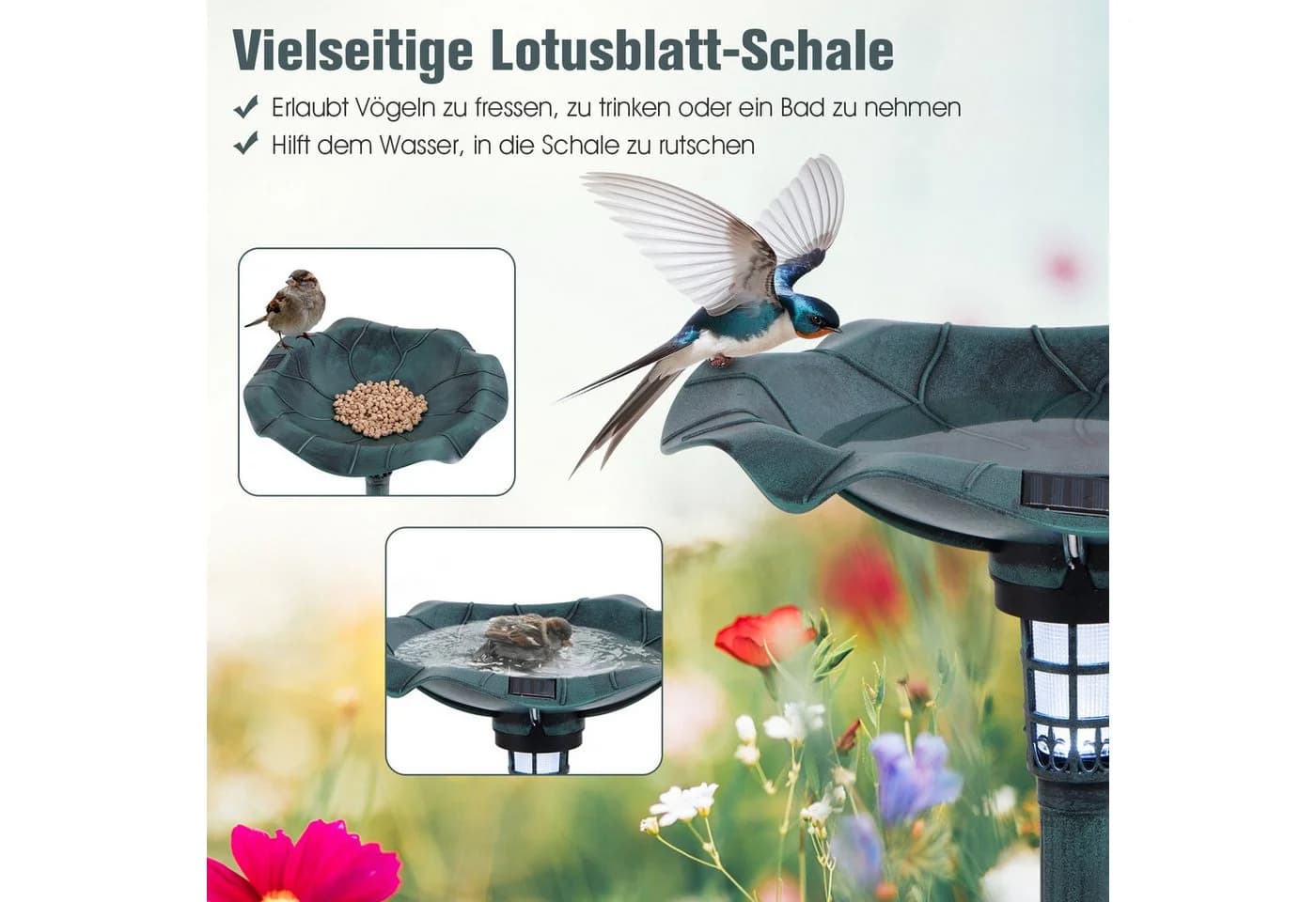 Vogeltränke und Futterspender mit Solarlicht - Bild 5