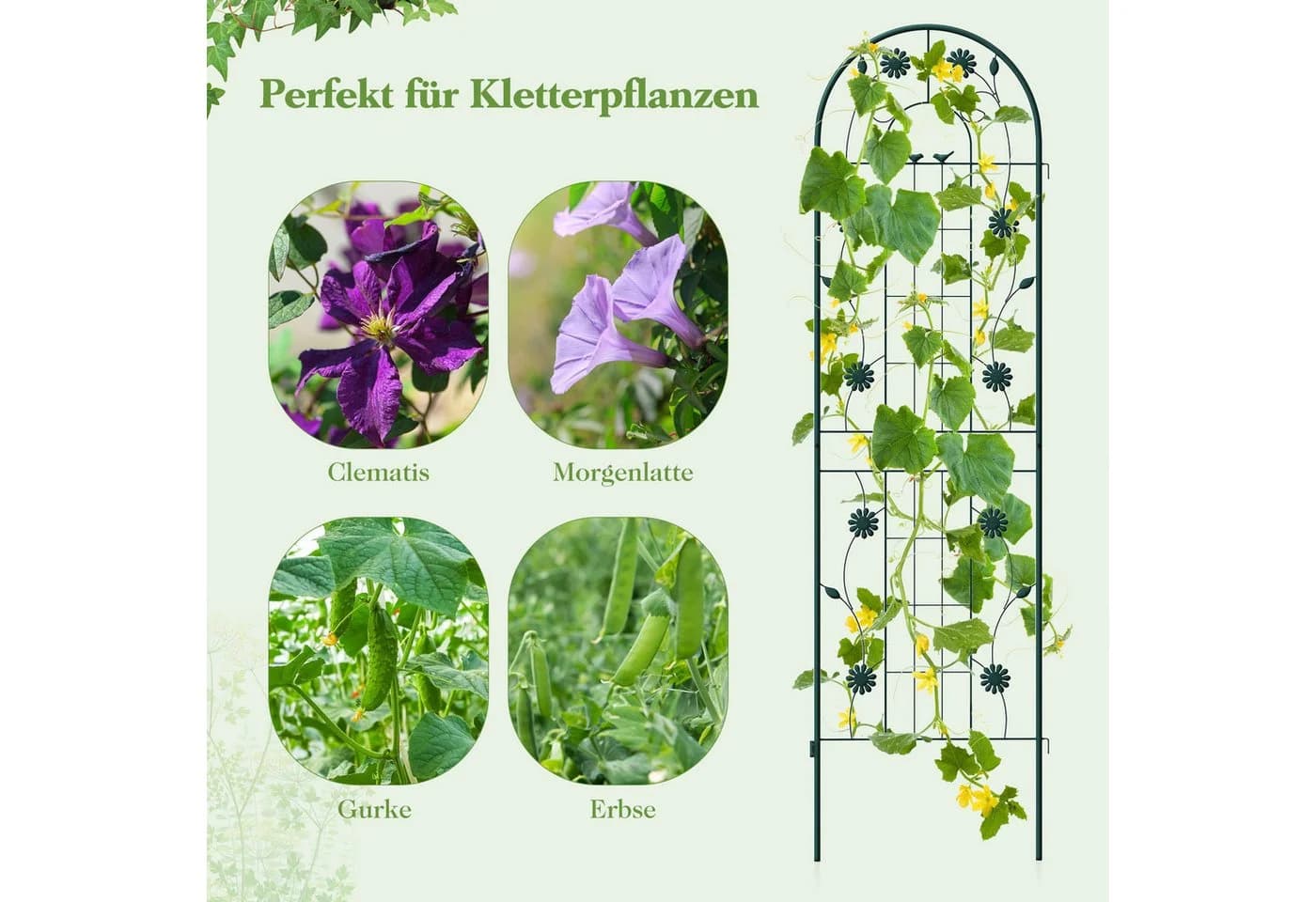 KOMFOTTEU Gartenzaun Rankgitter Metall Weiß/Grün 220x50cm - Bild 5