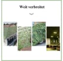 OSTWOLKE Sonnensegel 4x6M Tarnnetz Camouflage Netz Dekoration Sonnenschutz Bild 1