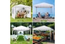 TLGREEN Faltpavillon 3x3M 420D Oxford Gartenzelt Bild 1
