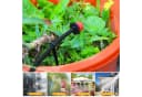BlingBin Bewässerungssystem 315-tlg. Garten Kit 75m Schläuche UV-beständig Bild 1