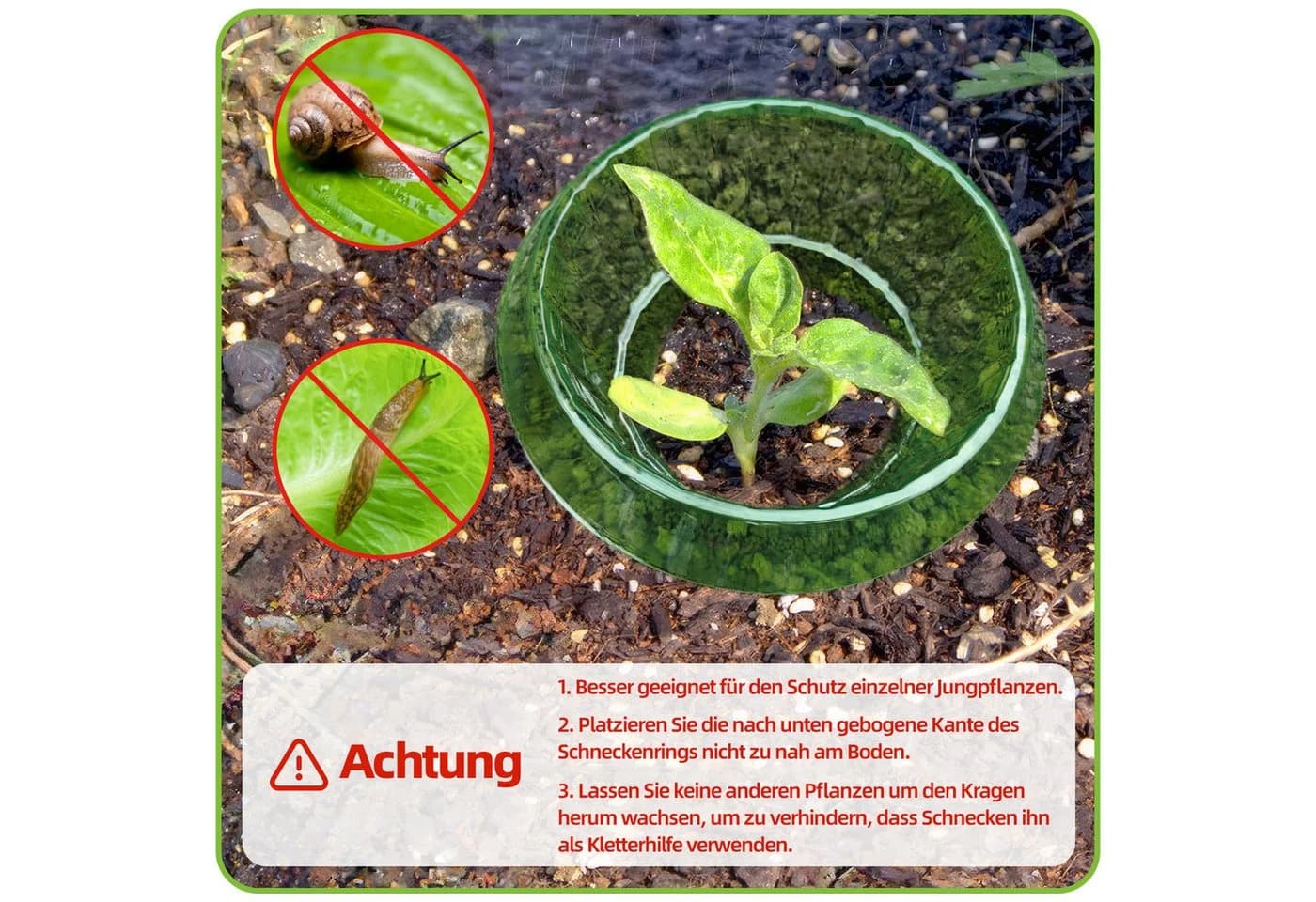 Refined Living Schneckenkragen 12 Stück Schneckenschutz Garten - Bild 5