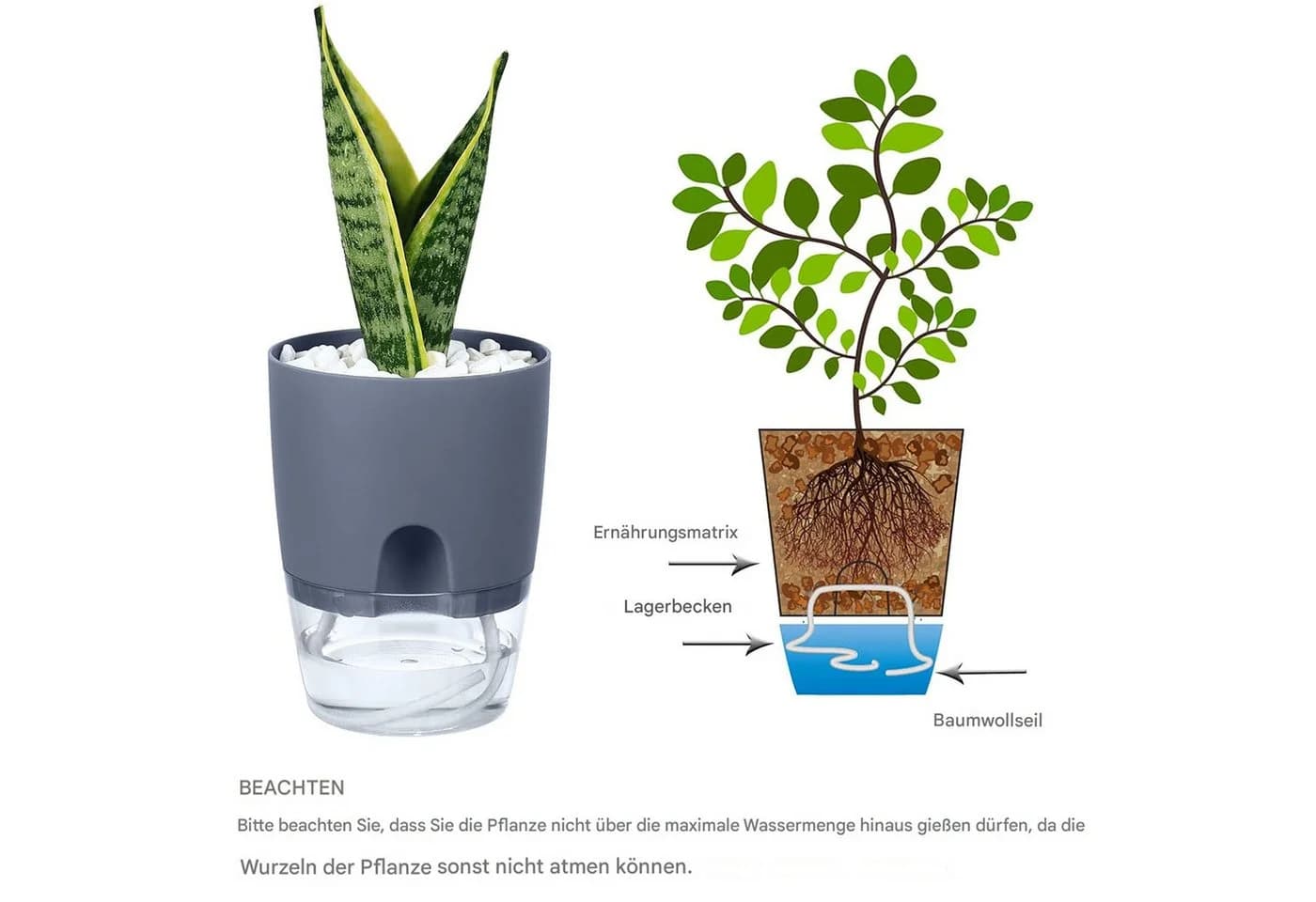 SURFOU Kräutertopf-Set 3er Selbstbewässerung Weiß/Grau - Bild 5