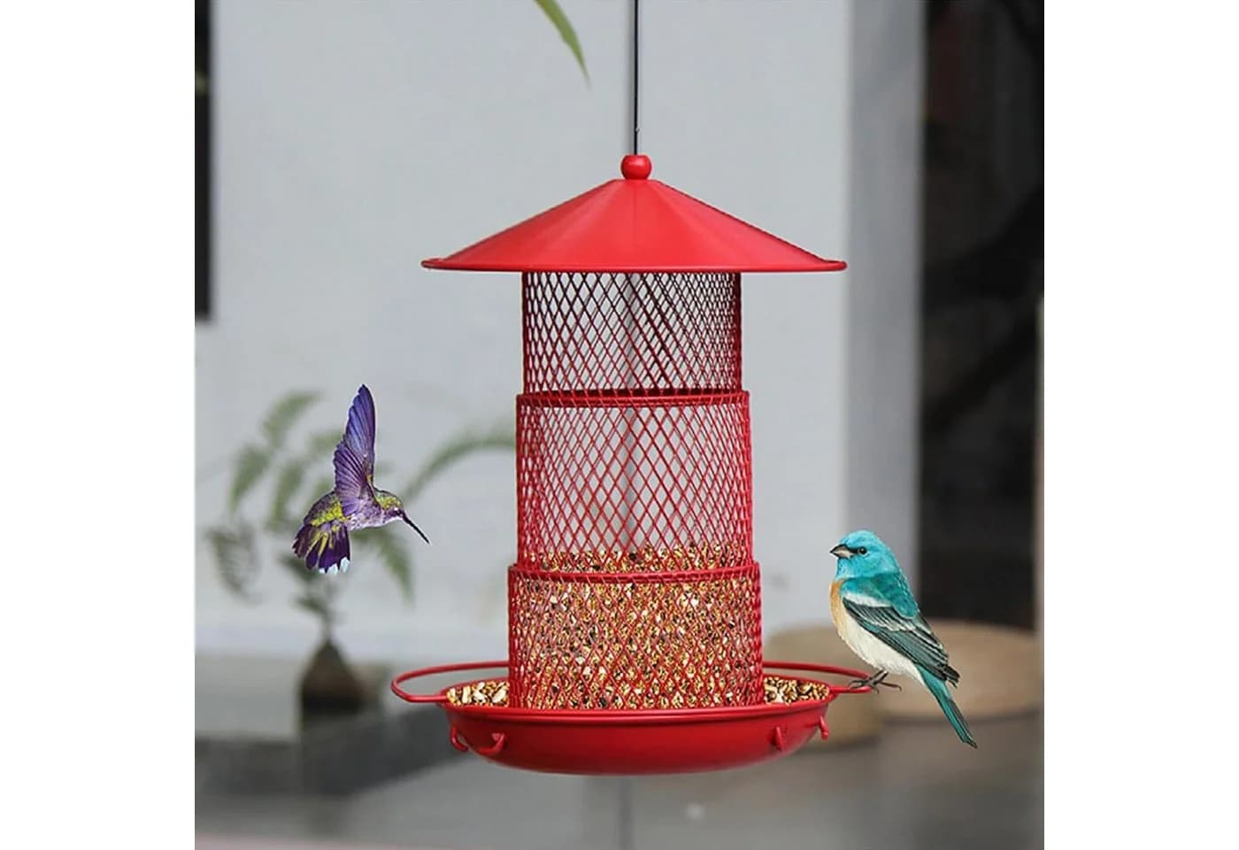 Refined Living Vogelhaus mit Eichhörnchenschutz - Bild 5