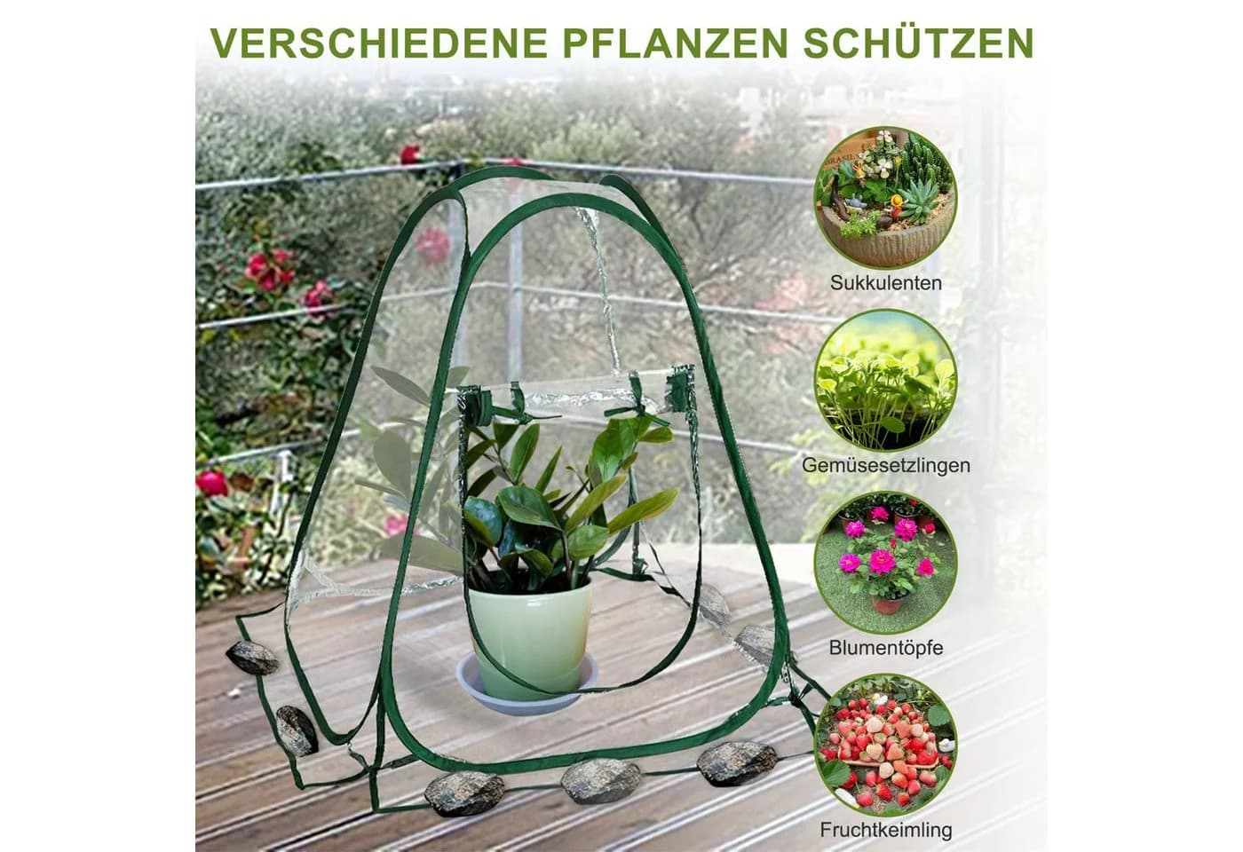 HEYHIPPO Gewächshaus 70x70x80cm Pop-up Mini Anzucht Zelt Pflanzenschutzhülle Transparent - Bild 4
