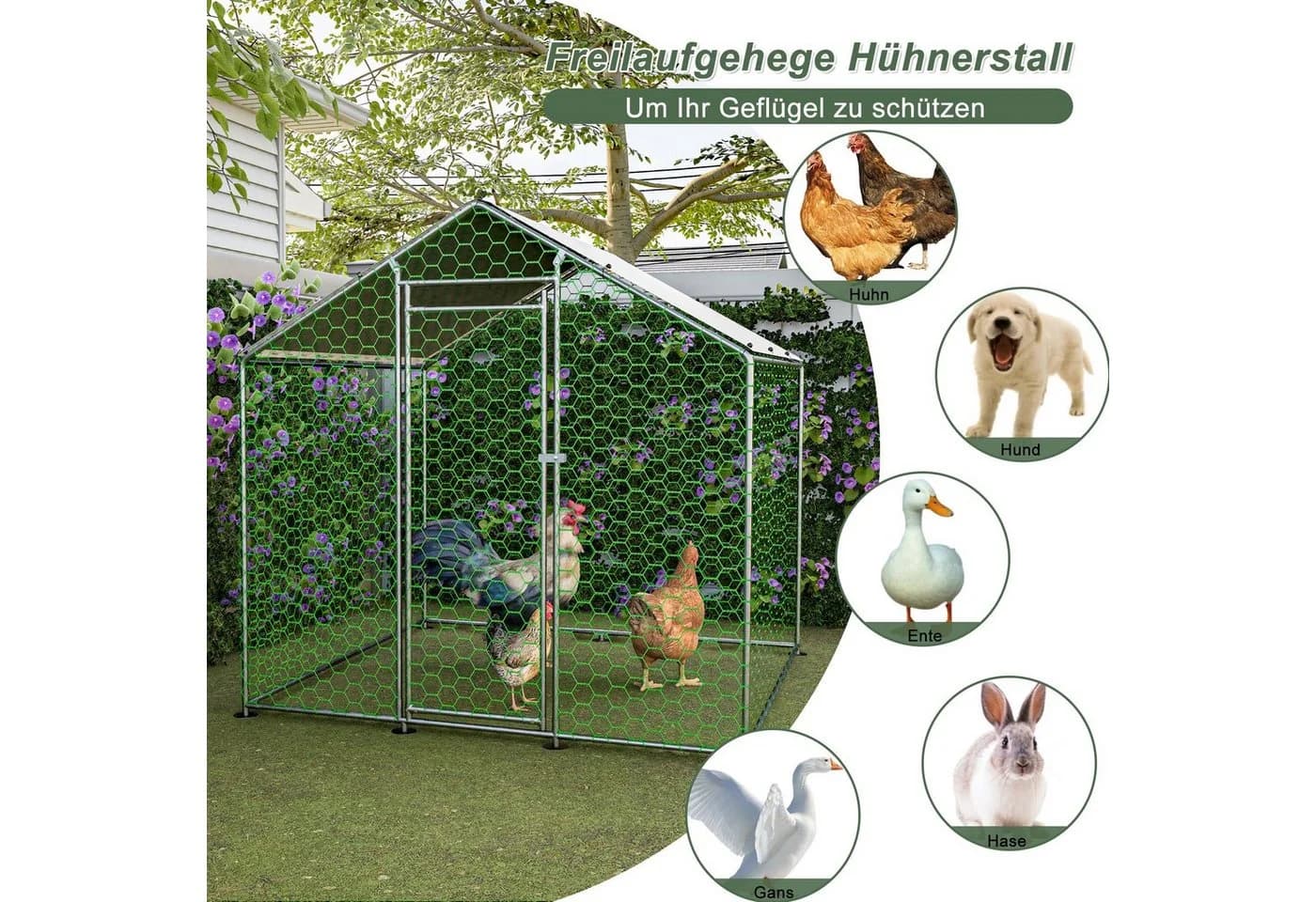 Thanaddo Hühnerstall Freilaufgehege Silber - Bild 5