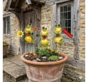 Denk Gartenstecker Frosch Franz Grün Bunt Bild 1