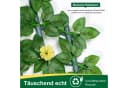 HEYHIPPO Kunsthecken-Sichtschutz Erweiterbar mit Gelben Rosen Bild 5
