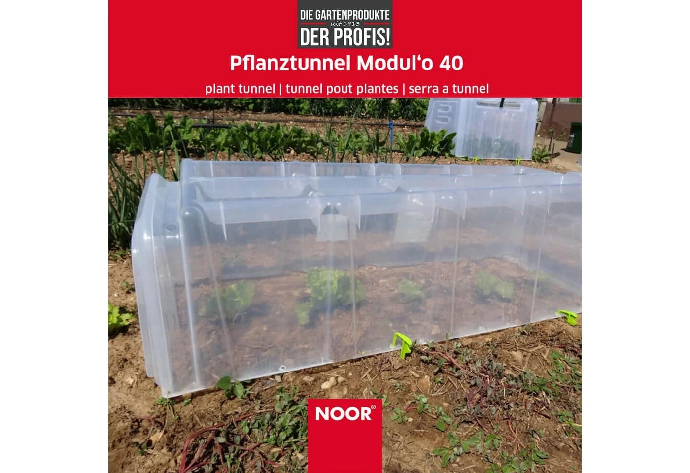 NOOR Pflanztunnel MODUL´O Transparent Kunststoff