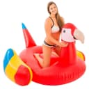 DIDAK POOL Luftmatratze XXL Schwimmtier Papagei Bild 2