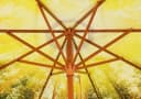 Schneider Schirme Marktschirm Malaga Forest Gelb 300 cm Bild 4