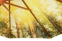 Schneider Schirme Marktschirm Malaga Forest Gelb 300 cm Bild 5