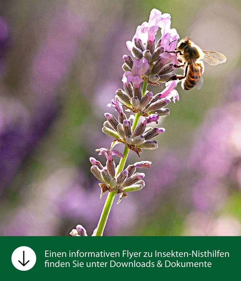 Dehner Insektenhotel Natura Premium Osmia aus Holz und Bambus - Bild 3