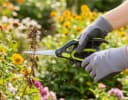 XCLOU Gartenschere Universal- & Buchsbaumschere mit Edelstahlklinge Bild 1