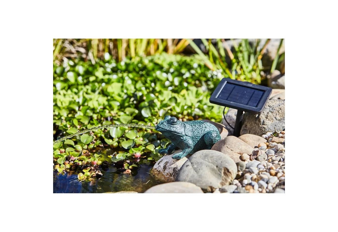 Heissner SOLAR Teichfigur Frosch mit Wasserspiel - Bild 3