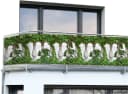 Maximex Balkonsichtschutz Ivy Fence 5m x 35cm Bild 3