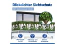 Maximex Balkonsichtschutz Ivy Fence 5m x 35cm Bild 5