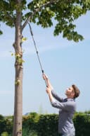 Maximex 2in1 Gartensäge mit Teleskopstiel bis 342 cm Bild 1