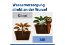 Maximex Bewässerungssystem Eule JUMBO 1,6l Automatisch Bild 4