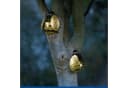 LED Gartenleuchte MAXIMEX 'Modell Biene' Solar Bild 1