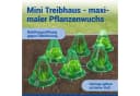 Maximex Pflanzenschutzdach 6 Stück Pflanzenhut Grün Bild 4