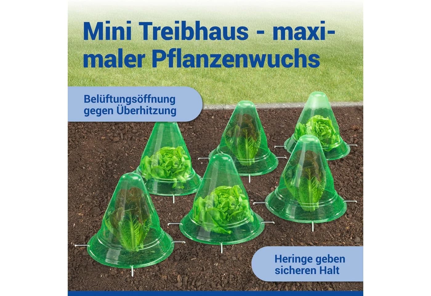 Maximex Pflanzenschutzdach 6 Stück Pflanzenhut Grün - Bild 4