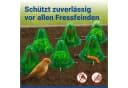 Maximex Pflanzenschutzdach 6 Stück Pflanzenhut Grün Bild 5
