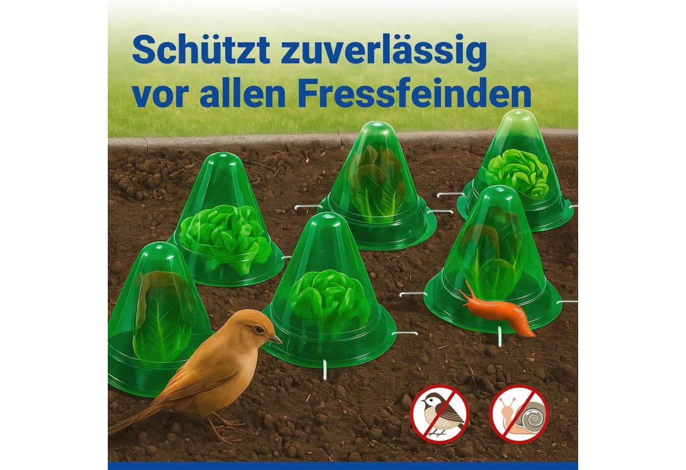 Maximex Pflanzenschutzdach 6 Stück Pflanzenhut Grün - Bild 5