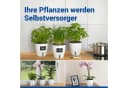 Maximex Selbstbewässernde Pflanztöpfe Set 3 St mit Wasserstandsanzeige Bild 3
