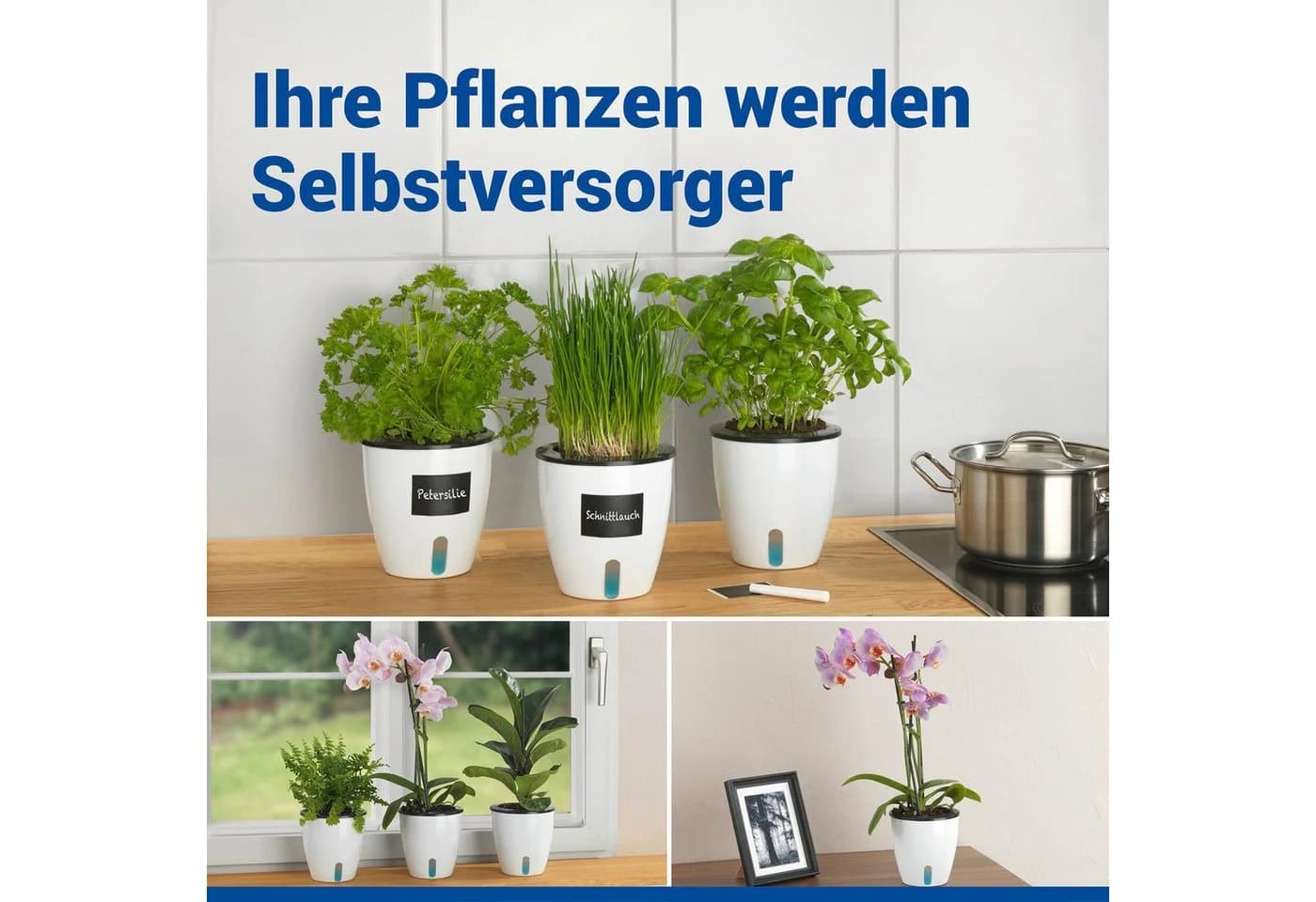 Maximex Selbstbewässernde Pflanztöpfe Set 3 St mit Wasserstandsanzeige - Bild 3