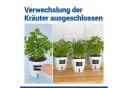 Maximex Selbstbewässernde Pflanztöpfe Set 3 St mit Wasserstandsanzeige Bild 4