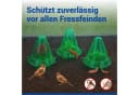 Maximex Pflanzenschutzdach Set 3 Stück Grün Pflanzendom mit Bewässerungsring Bild 3