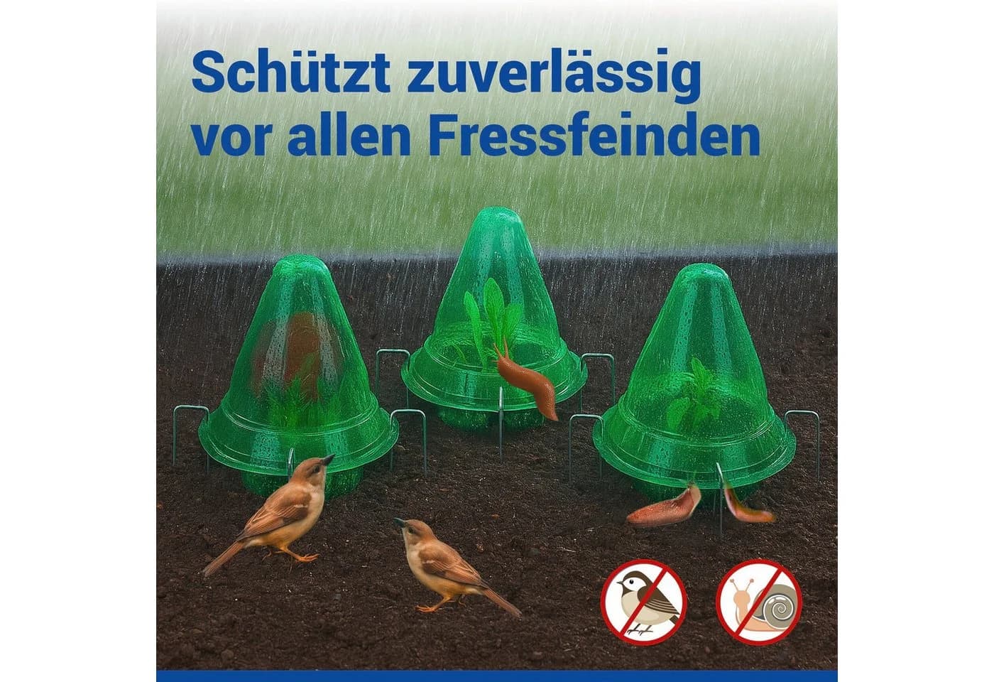 Maximex Pflanzenschutzdach Set 3 Stück Grün Pflanzendom mit Bewässerungsring - Bild 3