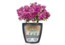 Lechuza® Pflanzkübel Blumentopf Classico Color 18 Weiß Bild 4
