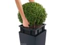 Lechuza® Pflanzkübel Cubico Color 30 sandbraun mit Wassersystem Bild 5