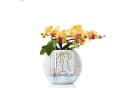 Lechuza® Blumentopf Pflanztopf Puro Color 20 Sandbraun Bild 5