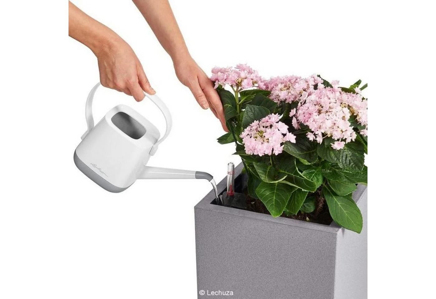 Lechuza Pflanzkübel Canto Stone 30 low graphitschwarz Komplettset - Bild 5