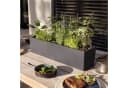 Lechuza Balkonkasten Balconera Color 100 cm schiefergrau Komplettset Bild 1