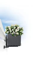 Lechuza® Blumenkastenhalter Schwarz für Balkonkästen Bild 3