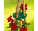 WENKO Rankhilfe WENKO Rank-FIX 2er-Set Bild 2