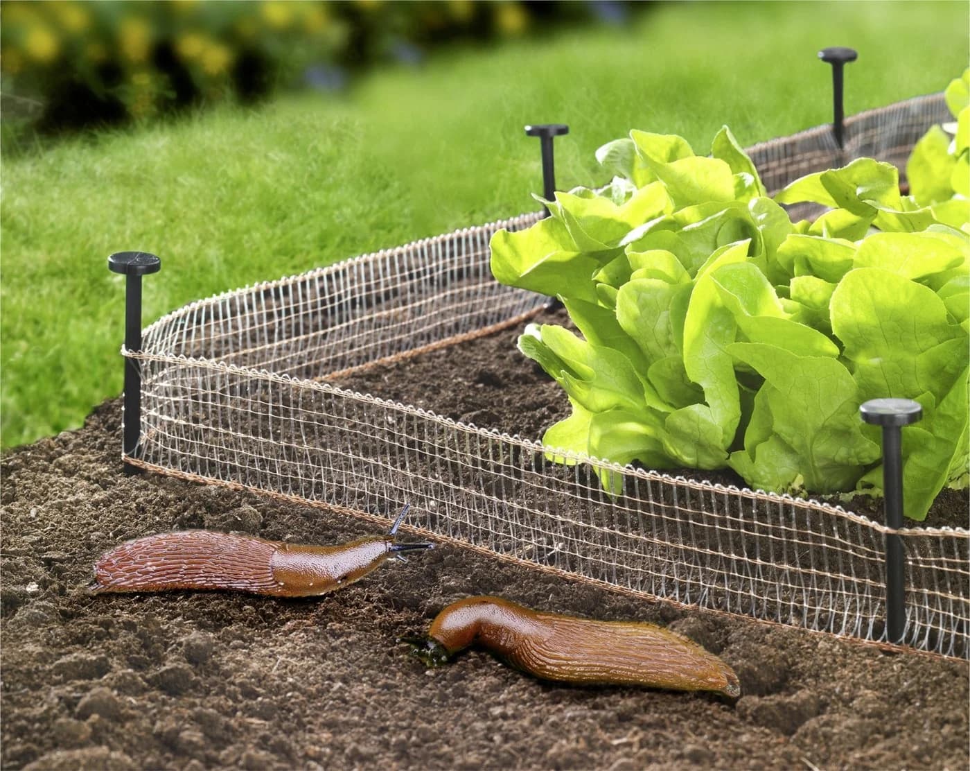 Schnecken-Stopp 8 Meter 2er Set Maximex - Bild 5