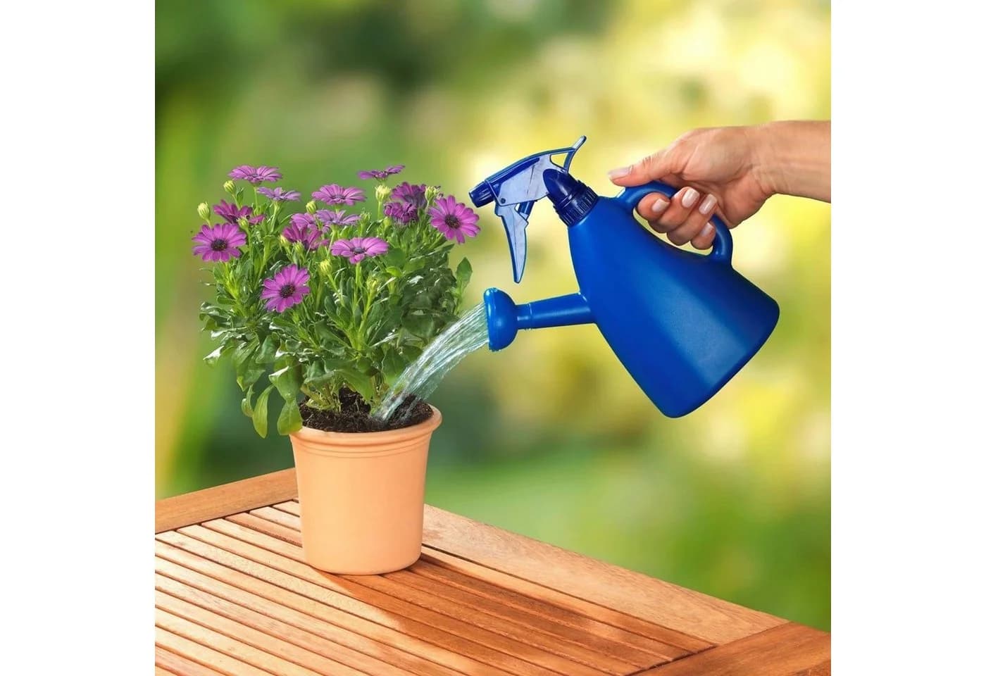 WENKO 2-in-1 Gießkanne 800ml Blau mit Brausekopf und Aufsätzen - Bild 5