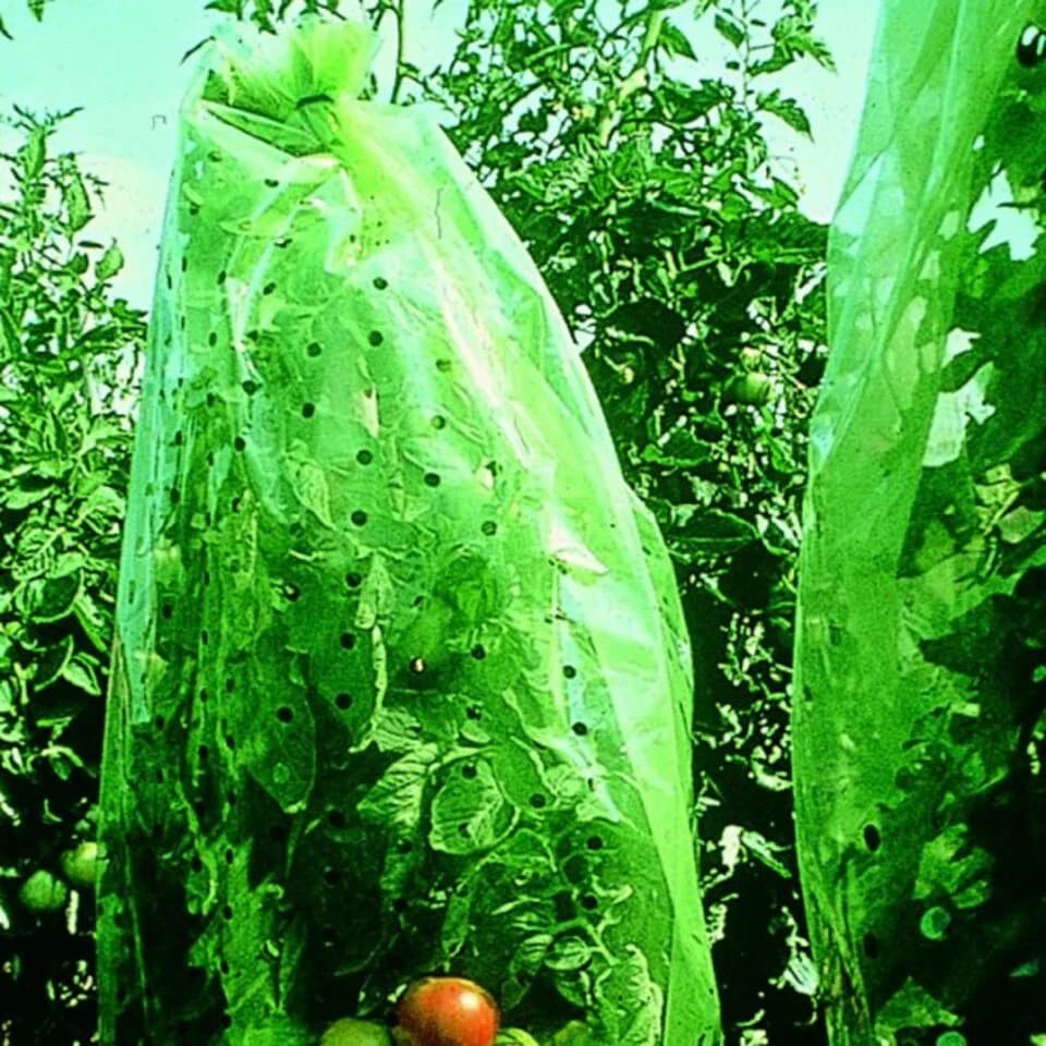 XCLOU Gartenvlies Tomatenhaube 0,65 x 10 m