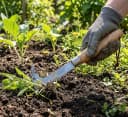 XCLOU Fugenkratzer Edelstahl Eschenholz Classic Garden Bild 1