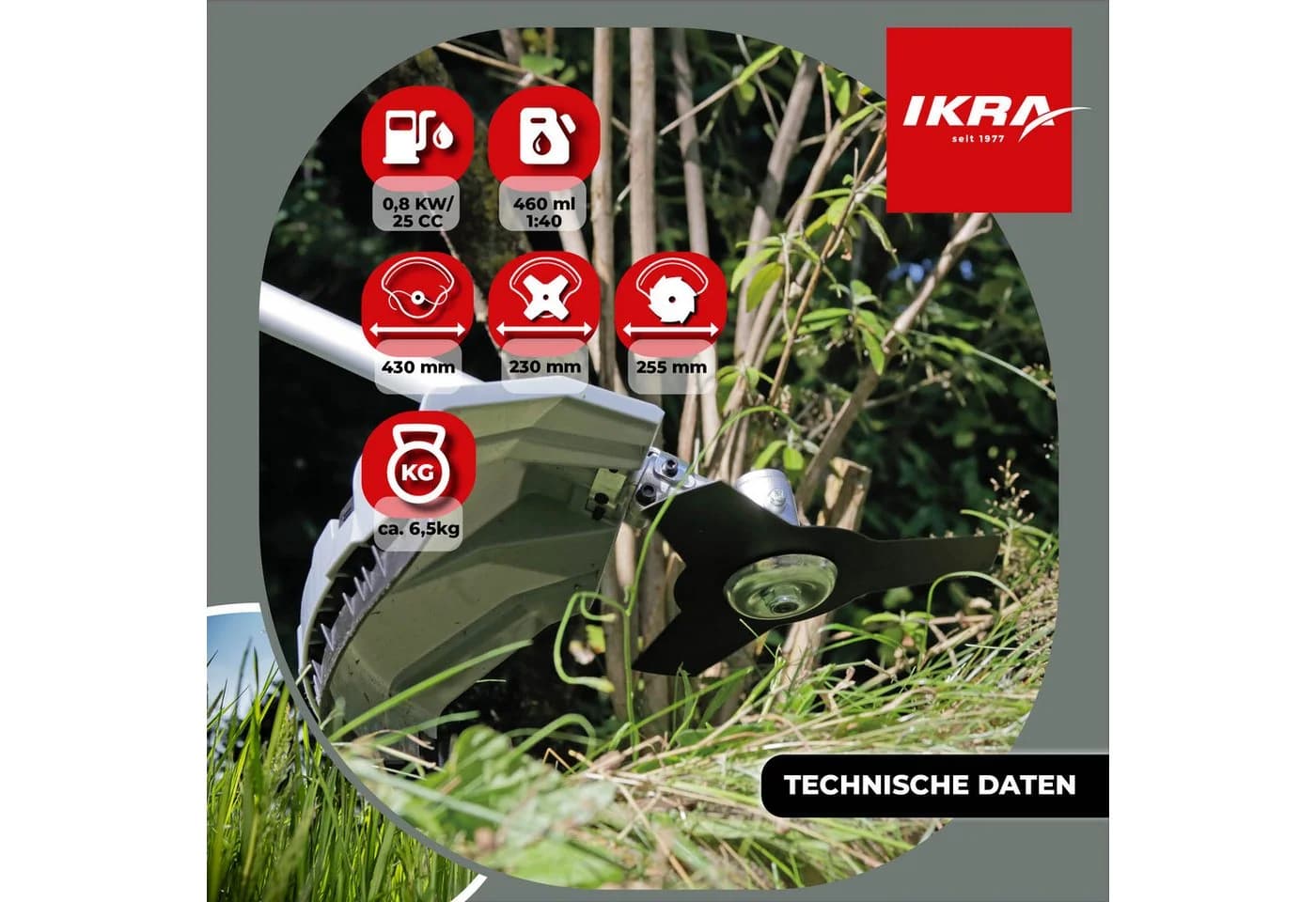 ikra Benzin-Freischneider IBF 25-1 mit 8-Zahn-Messer & Schutzbrille - Bild 4