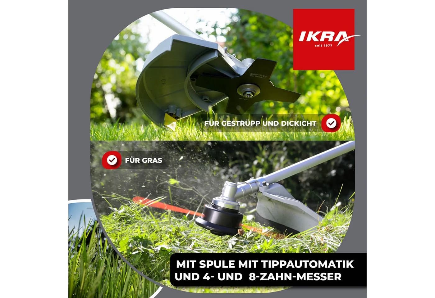 ikra Benzin-Freischneider IBF 25-1 mit 8-Zahn-Messer & Schutzbrille - Bild 5