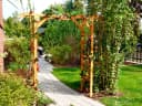Promadino Pergola "Anke" Honigbraun Rankhilfen Bild 2