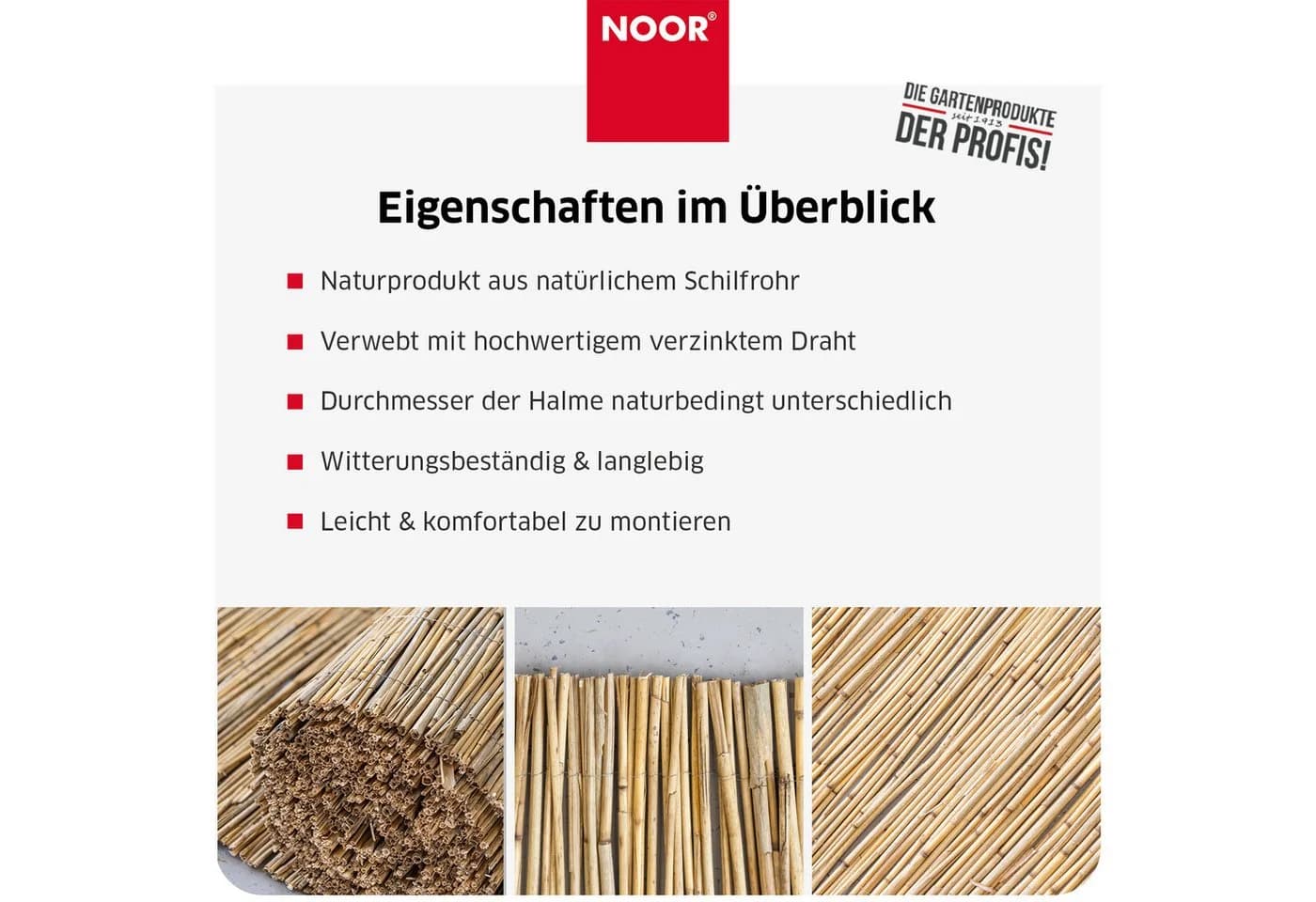 NOOR Sichtschutzzaunmatten Schilfrohrmatte ST. TROPEZ, natürlicher Sichtschutz aus Schilf - Bild 5