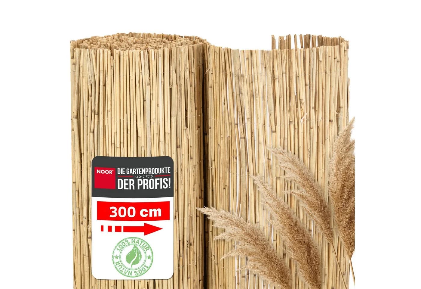 NOOR Sichtschutzzaunmatte Schilfrohrmatte ST. TROPEZ, natürlicher Sichtschutz aus Schilf - Bild 2